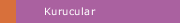 Kurucular