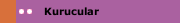 Kurucular