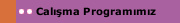 Calışma Programımız