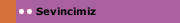 Sevincimiz