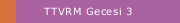 TTVRM Gecesi 3