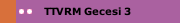 TTVRM Gecesi 3