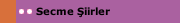 Secme Şiirler